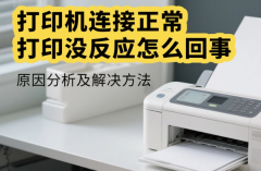 打印机连接正常打印没反应怎么回事 原因分析及解决方法
